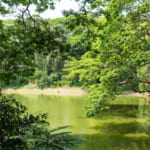 ティルヴァナンタプラム