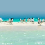 トゥバタハ岩礁自然公園（フィリピンの世界遺産）