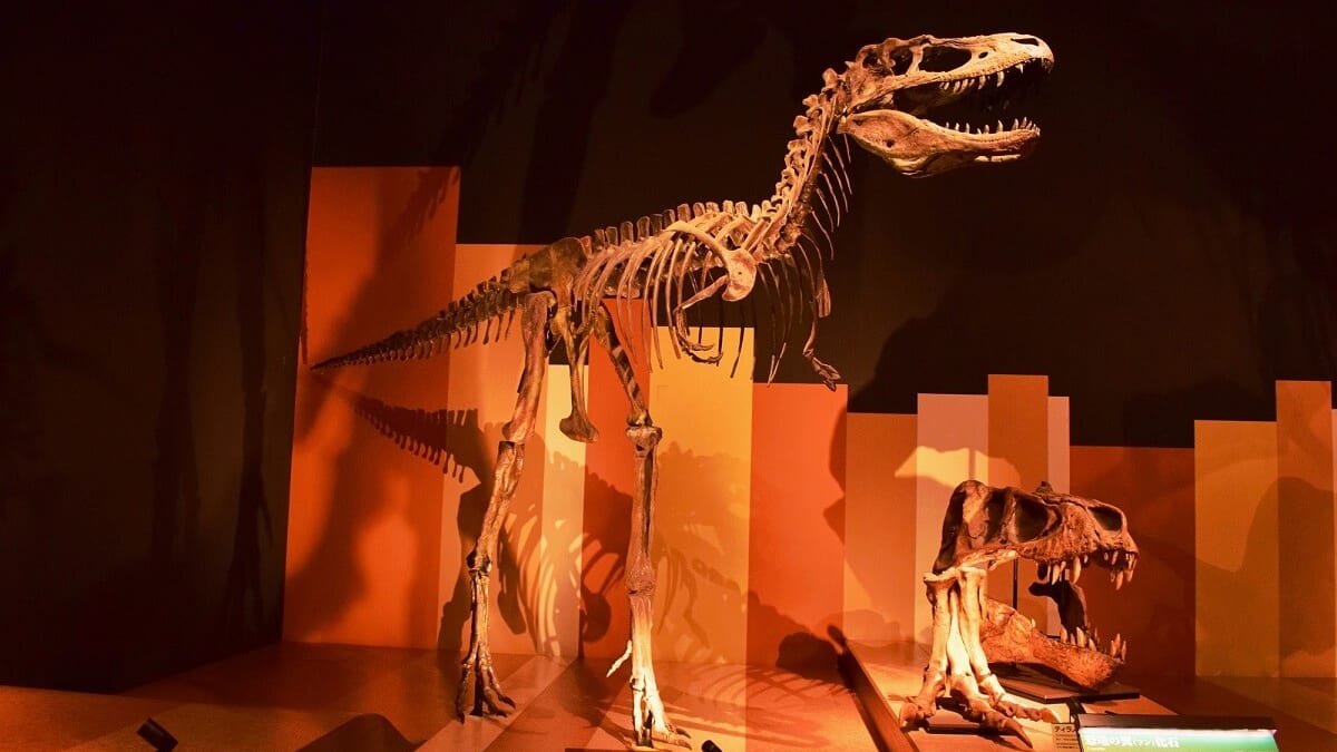 a39a1647-pixta_101504403_m-