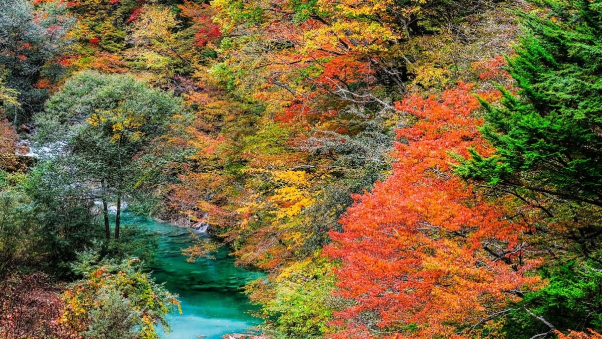 今だから行ける!福島県浪江町の一押し観光ポイント5選 – skyticket 観光ガイド
