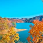 紅葉美しい九頭竜湖
