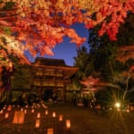 室生寺（女人高野）紅葉ライトアップ