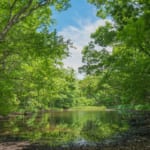 双葉郡川内村　平伏沼