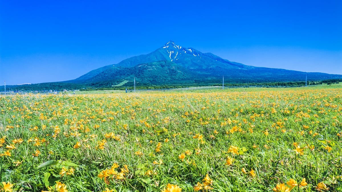 利尻島と礼文島♪日本最北限にある花の浮島の観光マストスポットをご紹介!