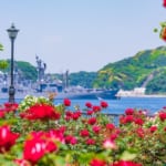 横須賀ヴェルニー公園