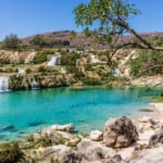 ワジ・ダルバット（オマーン）