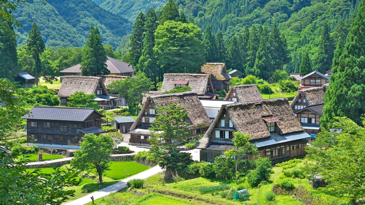 ぎゅーっと詰まった豆腐の手みやげ！富山県南砺市でおすすめのお土産4選