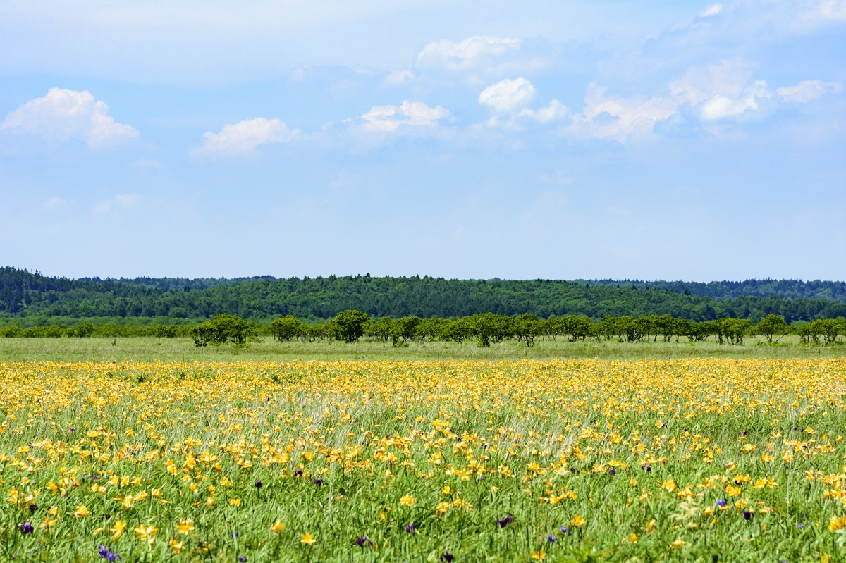 厚岸・浜中（霧多布）