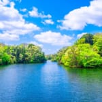 大阪府民の森 室池