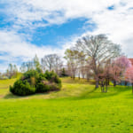 水曜どうでしょう 聖地