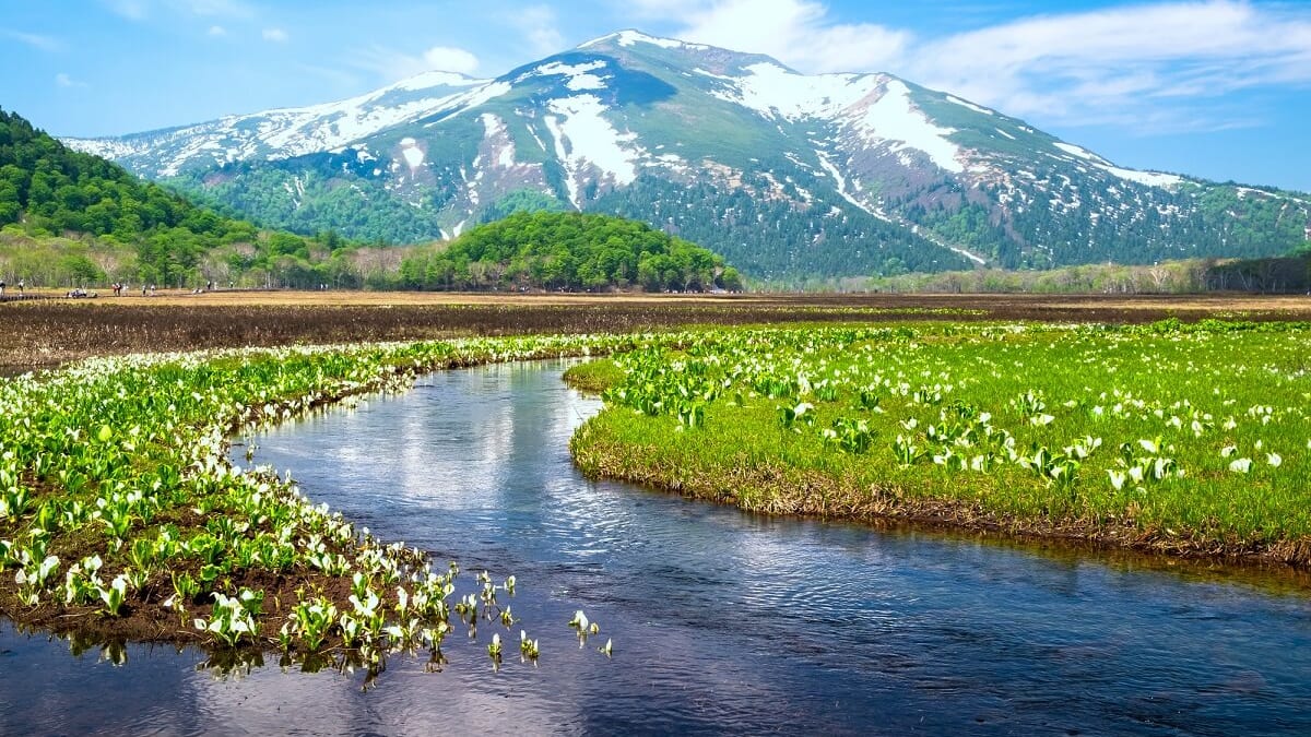 後世まで残したい群馬県尾瀬の自然を満喫する観光スポット13選