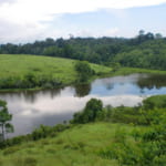 カオヤイ国立公園 楽しみ方