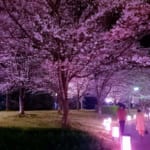 東雲公園（壬生町）