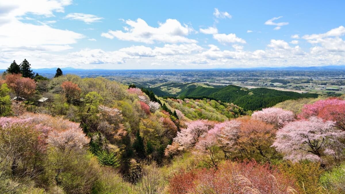 栃木県大田原市の人気観光スポット7選！歴史・自然を満喫する旅