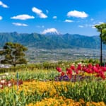 山梨県笛吹川フルーツ公園