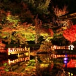 歴史公園 えさし藤原の郷