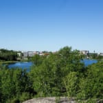 ルーイン・ノランダ