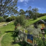 ホビトン村（Hobbiton Movie Set）