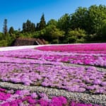 響きの森公園（奥只見レクリエーション都市公園）