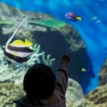 アクアワールド大洗水族館