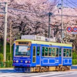 路面電車と飛鳥山公園（東京・王子）