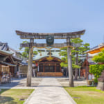 京都ゑびす神社 鳥居