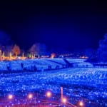 やくらいガーデン　イルミネーション