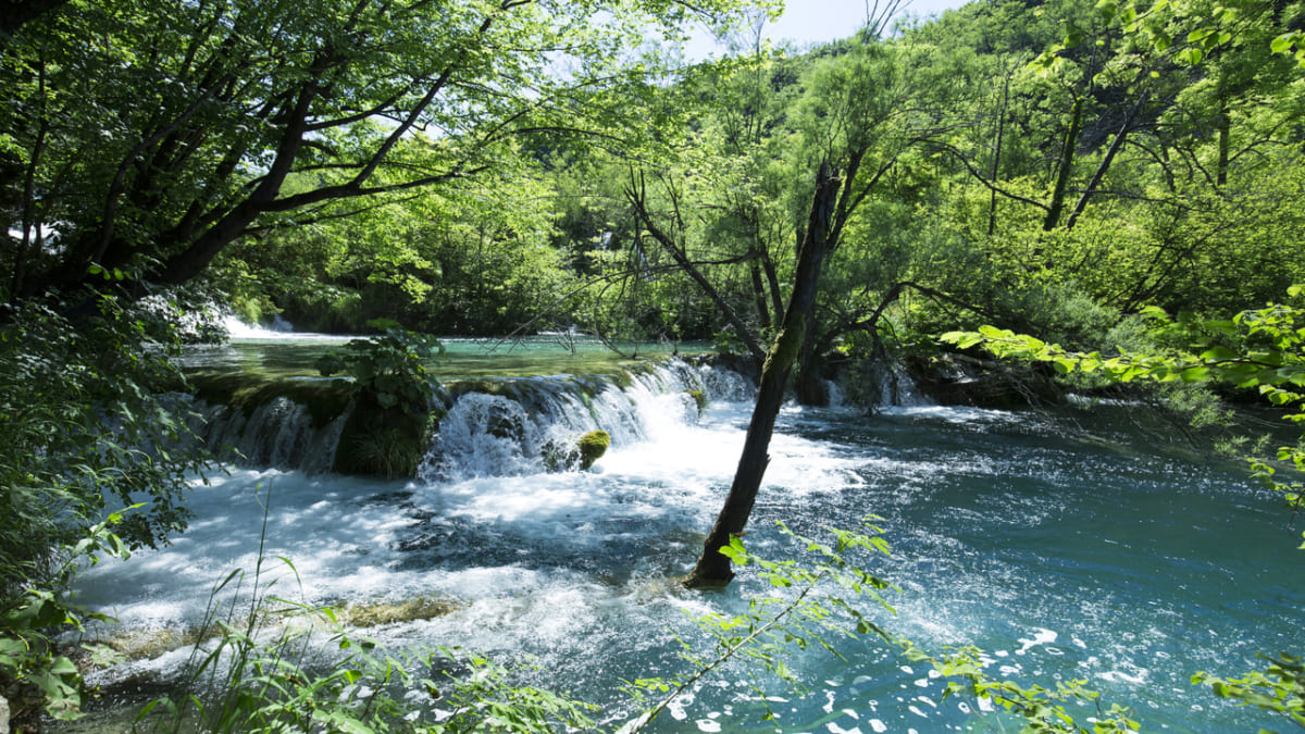 青く輝く湖と滝が織りなす自然の芸術！プリトヴィッツェ湖群国立公園