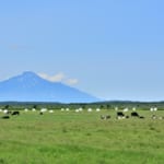 サロベツ原野と利尻山