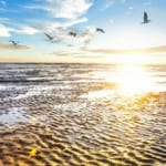 【世界遺産】ワッデン海