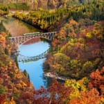 JR只見線「第一只見川橋梁」紅葉