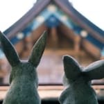 出雲大社本殿を見つめる因幡の白兎