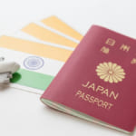 インドe-Visa観光用を申請