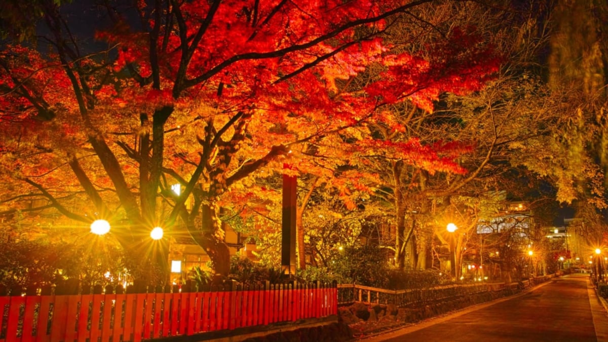 これは見ておきたい！感動を届ける京都の絶景スポット15選 – skyticket 観光ガイド