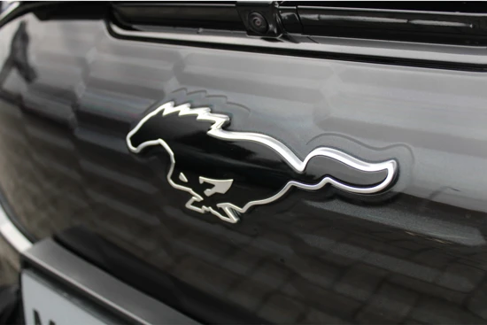 Ford Mustang Mach-E 98kWh 487pk AWD GT met PANORAMADAK
