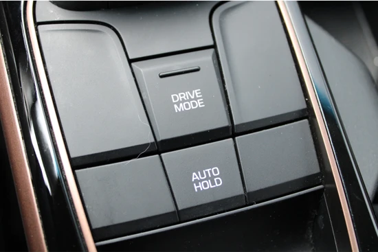 Hyundai IONIQ EV 120pk Comfort Automaat