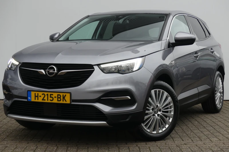 Opel Grandland X 1.2 Turbo 130PK Business Executive | TREKHAAK | AGR-STOEL |