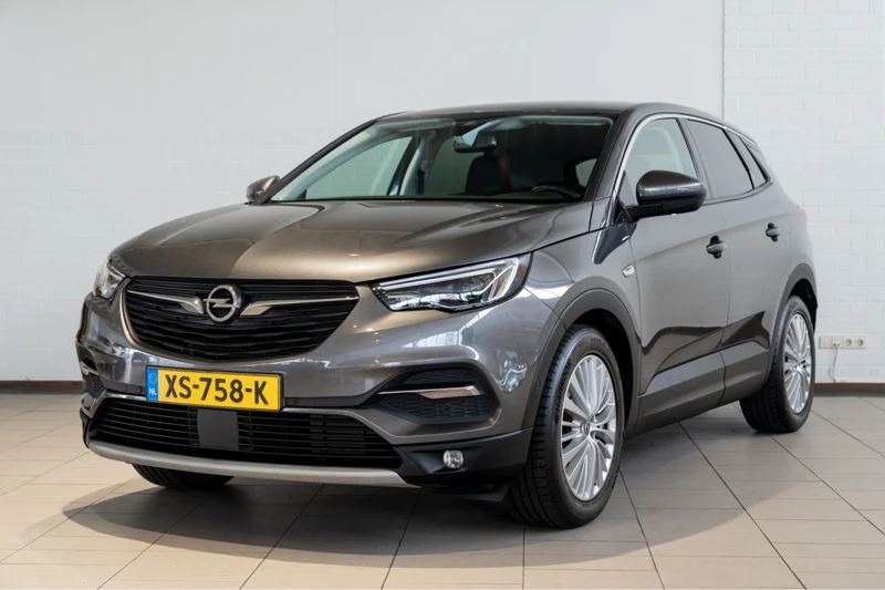 Opel Grandland X 1.2 Turbo Business Executive + | AGR Stoelen | Trekhaak | Climate Controle | 1e Eigenaar |