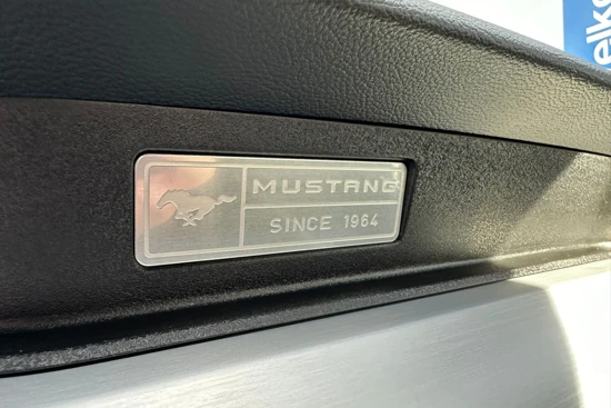 Ford Mustang Fastback 2.3 EcoBoost Automaat 315 PK | LEDER| CAMERA| STOELVERWARMING/VERKOELING| NAVIGATIE| CRUISE CONTROL| CLIMATE CONTROL| K