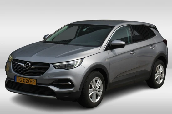 Opel Grandland X 1.2 Turbo AUTOMAAT Business Executive, NAVIGATIE, PARKEERSENSOREN, LICHTMETALEN VELGEN