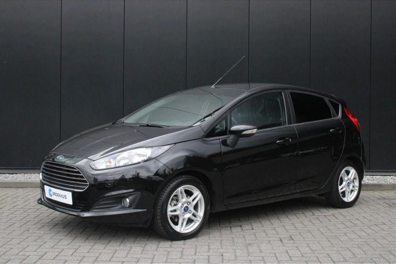 Ford Fiesta 1.0 EcoBoost Titanium | SENSOREN V+A | STOELVERWARMING | PRIVACY GLASS