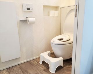 トイレ用踏み台のおすすめ人気16品。邪魔にならない/2段式/補助便座一体型などの子供が使いやすい商品をご紹介のサムネイル画像