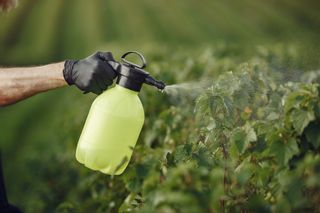 除草剤おすすめ16品。人気のラウンドアップや安全な商品などをタイプ別に最強の商品を紹介のサムネイル画像