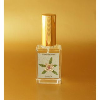 沈丁花(ダフネ)の香水 おすすめ人気7品！女性の魅力を高める甘く上品な香りのサムネイル画像
