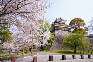 熊本県のお取り寄せ人気グルメ15品！おすすめの絶品グルメから熊本銘菓までのサムネイル画像