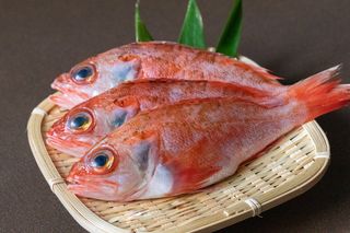 ふるさと納税の"のどぐろ"おすすめ人気16品。生魚/干物/煮魚/訳アリ品など自治体自慢の高級魚を返礼品でのサムネイル画像