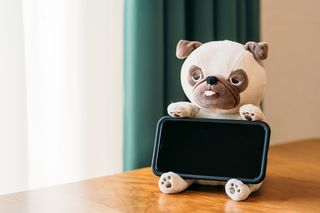 かわいいおしゃれなスマホスタンドおすすめ人気17品。木製/猫モチーフ/充電しながら使える最強の逸品達のサムネイル画像