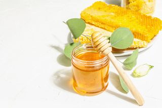 国産はちみつ 人気のおすすめ15名品まとめ！花で味わいが変わる蜂蜜の秘密のサムネイル画像