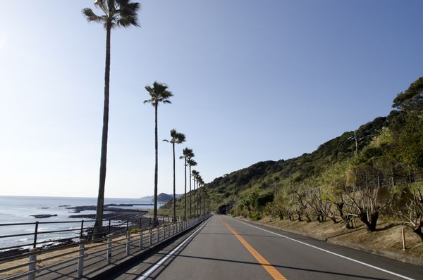 お取り寄せできる宮崎の人気グルメ20選【宮崎県のおすすめ】の画像