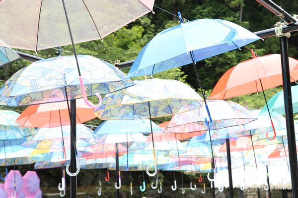 おしゃれなビニール傘おすすめ16品!女性/男性/キッズ向けの丈夫な品や人気ブランド品をセレクトの画像